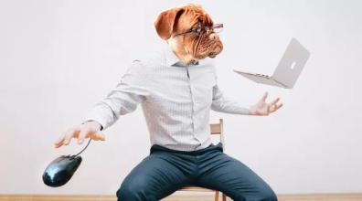 报告：超五成单身人士渴望30岁前有套房