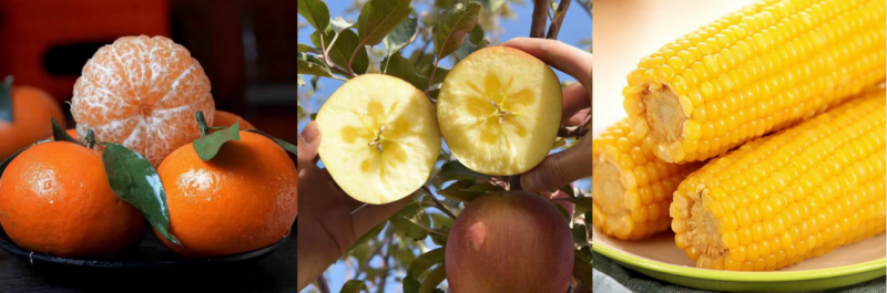 京东生鲜299减150_京东生鲜太贵了_