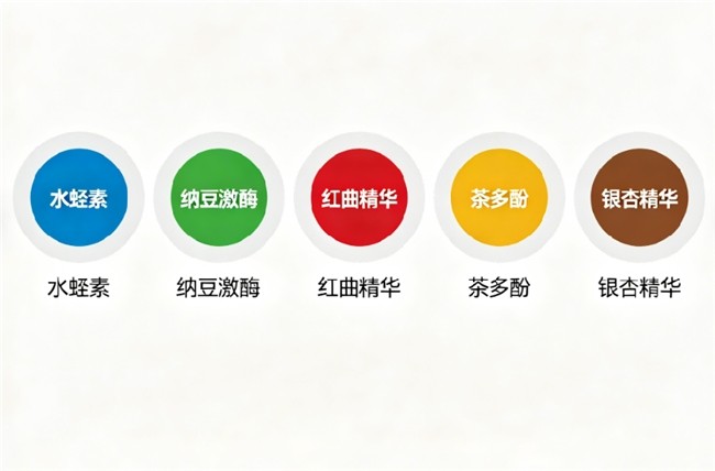 水蛭对血管有什么好处_水蛭在血管里能活多久啊_