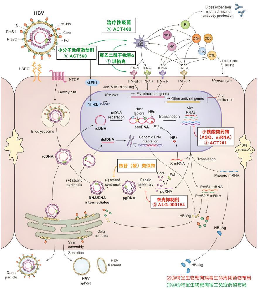 临床药物治疗学的追求_临床药物治疗学研究新进展_