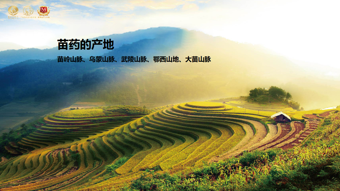 苗御骨元堂官方网站__苗御骨元堂生物科技有限公司