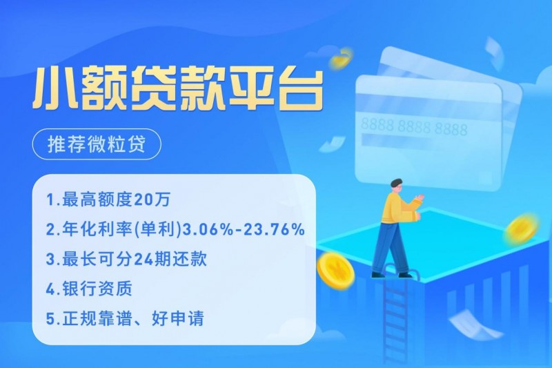 _正规小额贷款申请_小额贷款申请条件