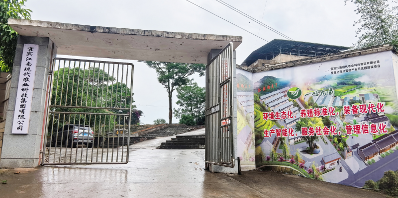 _农业农村部直属宣传单位走进中国李庄，镜头聚焦三十载本草鸽香_农业农村部直属宣传单位走进中国李庄，镜头聚焦三十载本草鸽香