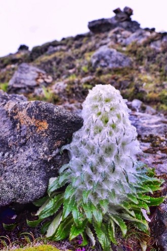 储备管理_管道专业储备量分析报告如何写_